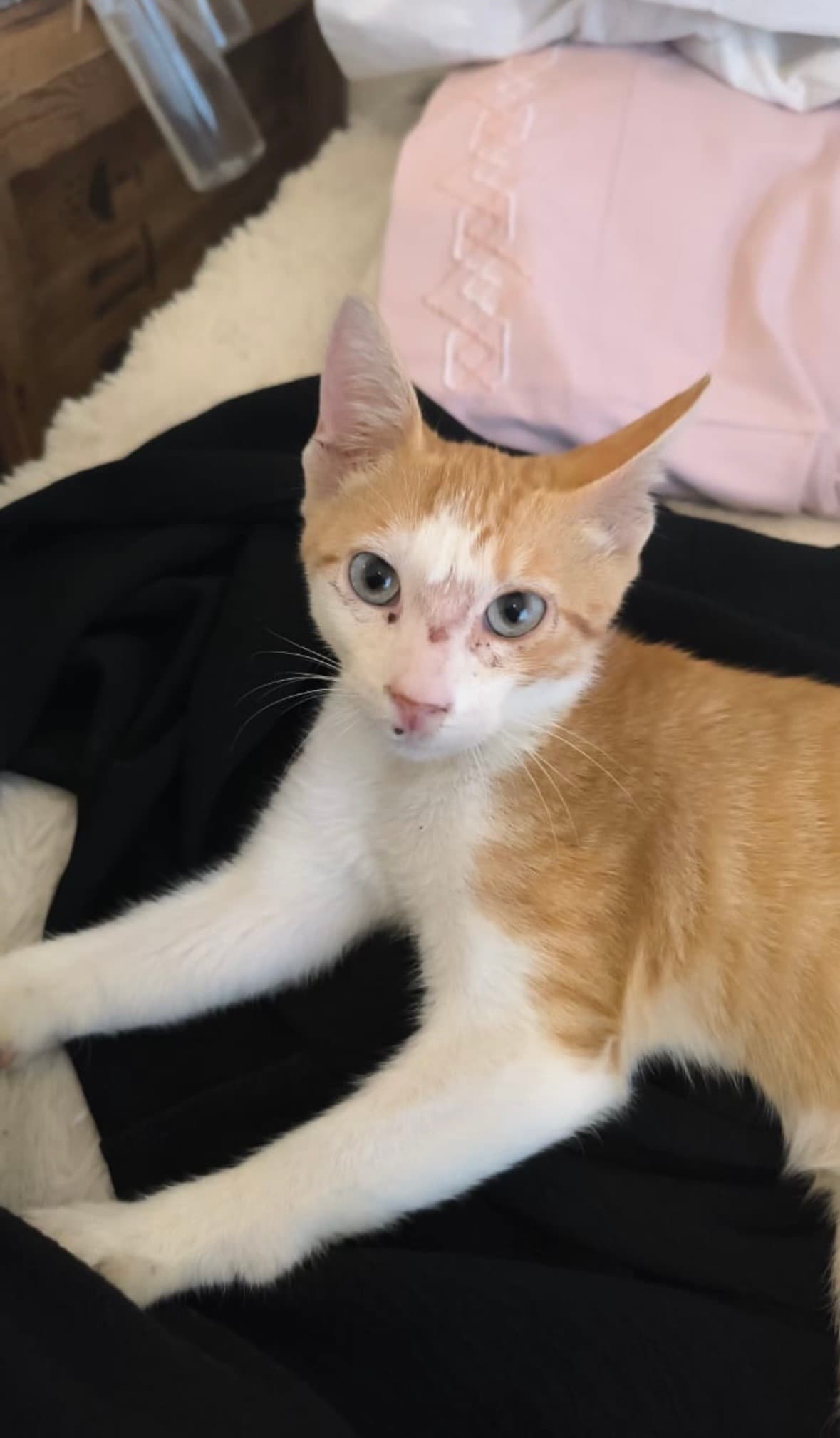 Melo — foto 1 de 7