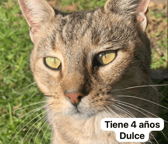Foto de Duquesa